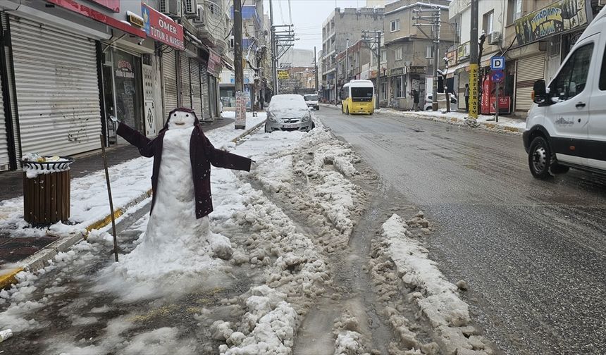 Nusaybin'de kar yağışı etkili oluyor
