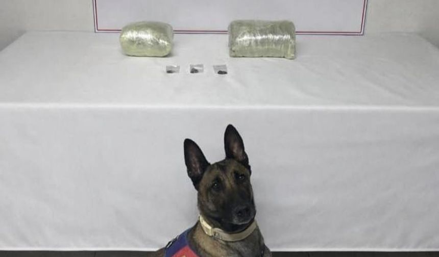 Şanlıurfa'da Narkotik operasyonu: 1 şüpheli yakalandı