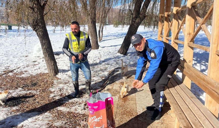 Polislerden Sokak Hayvanlarına Yiyecek...