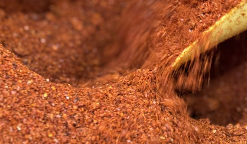 Geçen yıl 95 ülkeye 14,1 milyon dolarlık pul biber sattık