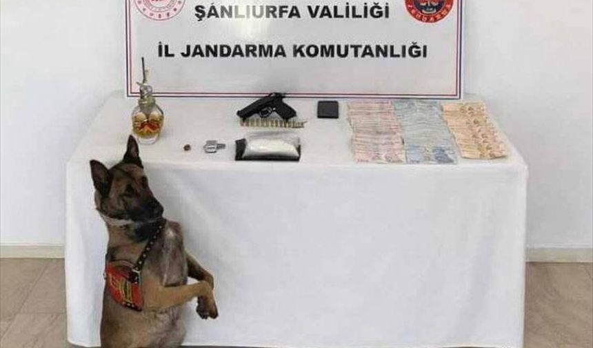 Şanlıurfa'da Narkotik operasyonunda 1 şüpheli yakalandı