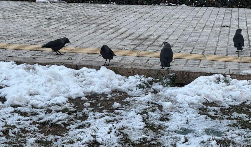 Trakya bölgesinde soğuk hava etkili oluyor