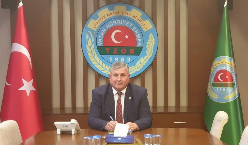 Kahta Ziraat Odası'ndan Badem İthalatına Vergi Çağrısı