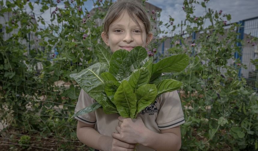 Gebze’de Öğrenciler Doğayla İç İçe Eğitim Alıyor