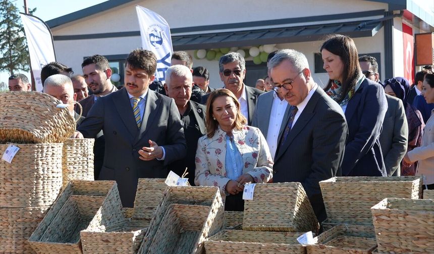 Hatay’da Su Sümbülleri Ekonomiye Kazandırılıyor
