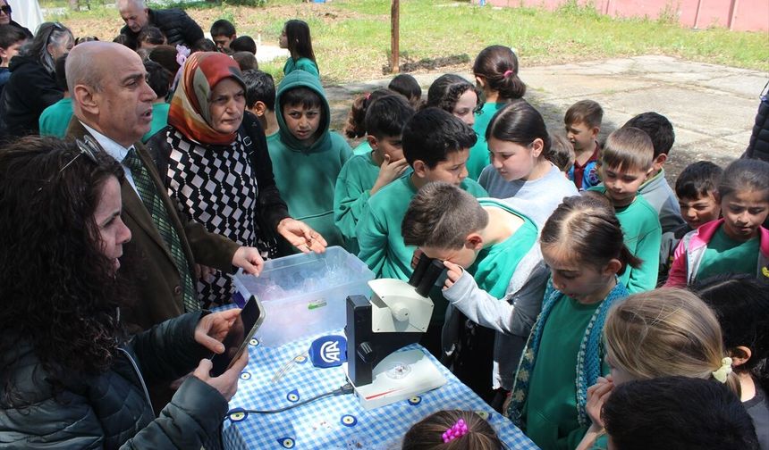 Samsun’da doğaya uğur böceği salındı