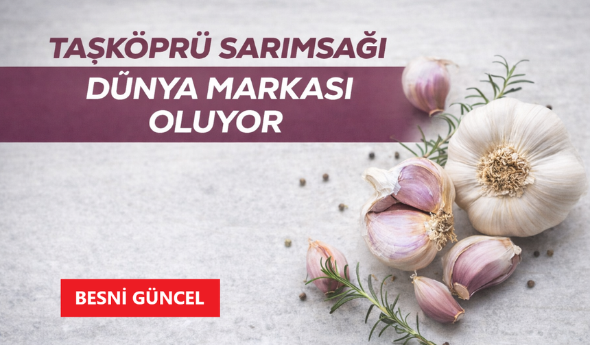 Taşköprü Sarımsağı Dünya Markası Oluyor