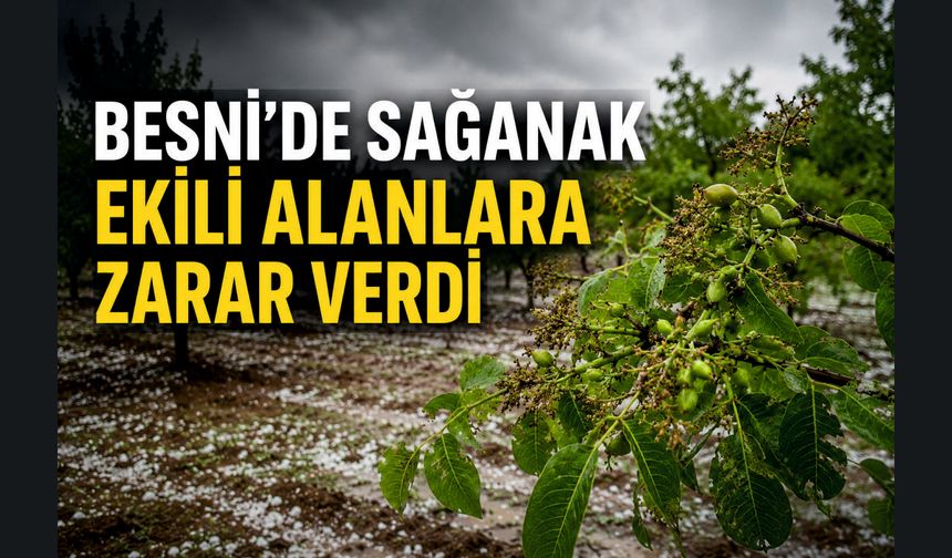 Sağanak ve Dolu Hasat Öncesi Çiftçiyi Vurdu