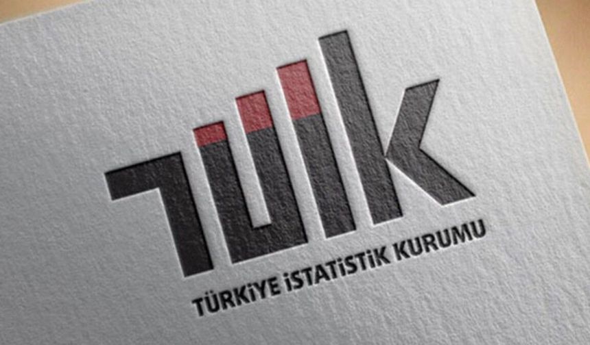 TÜİK Açıkladı: Türkiye’de Aile Yapısı Değişiyor