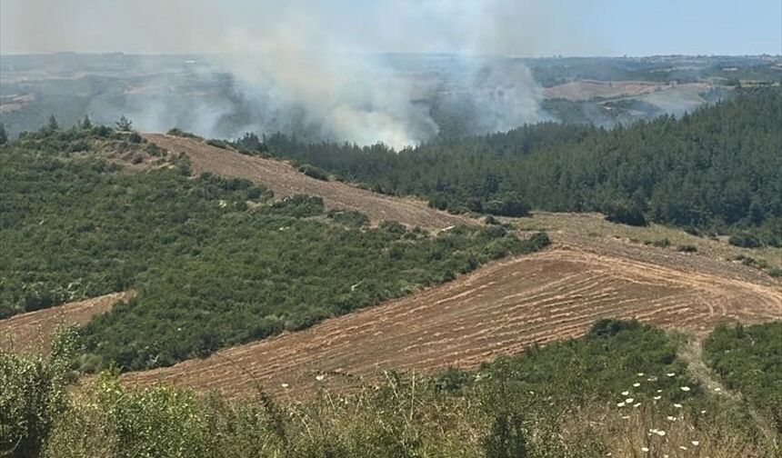 Park Halindeki Araçtan Çıkan Yangın Ormanlık Alanı Tehdit Ediyor