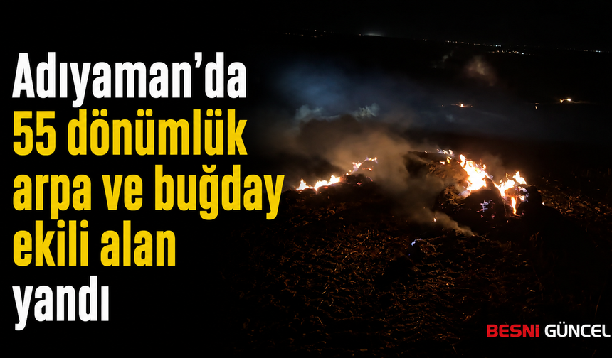 Adıyaman'da Arpa ve Buğday Ekili Tarla Yandı