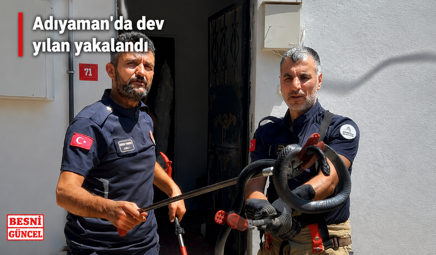 Adıyaman'da 4 Yıllık Yılan Kâbusu Sona Erdi