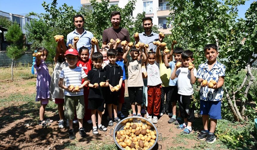 Batman'da Minik Ellerden Tohumdan Hasata Doğayla İç İçe Öğrenim