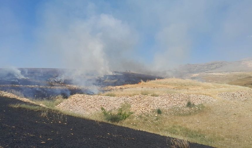 Adıyaman'da Tarla Yangını: 74 Dönümlük Ekili Alan Yandı
