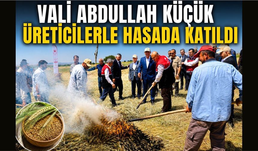 Vali Abdullah Küçük Üreticilerle Hasada Katıldı