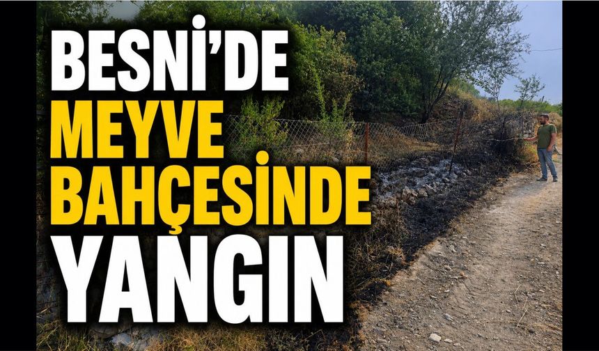 Besni'de 1,5 Dönümlük Meyve Bahçesi Alevlere Teslim Oldu