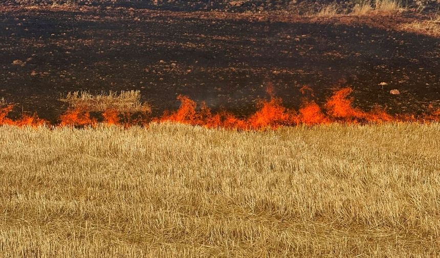 Diyarbakır Çermik'teki örtü ve anız yangını söndürüldü