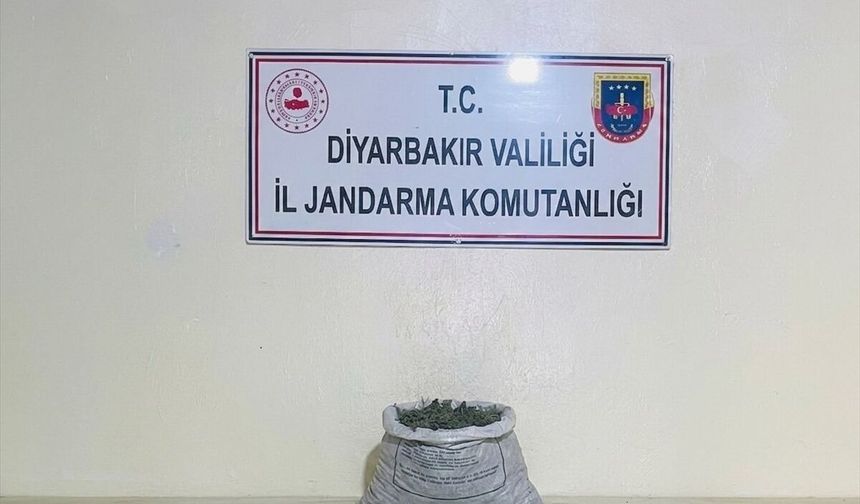 Diyarbakır’da geniş çaplı yasa dışı madde operasyonu