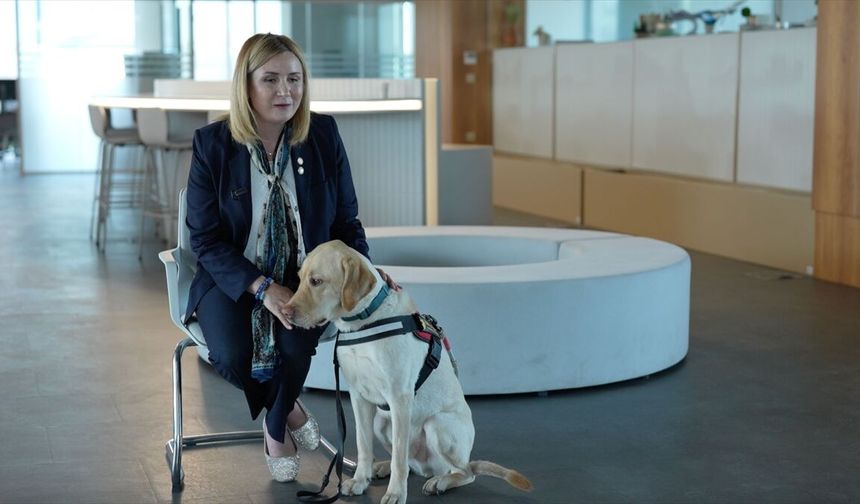 Rehber Köpekler Derneği, Görme Engellilere Destek