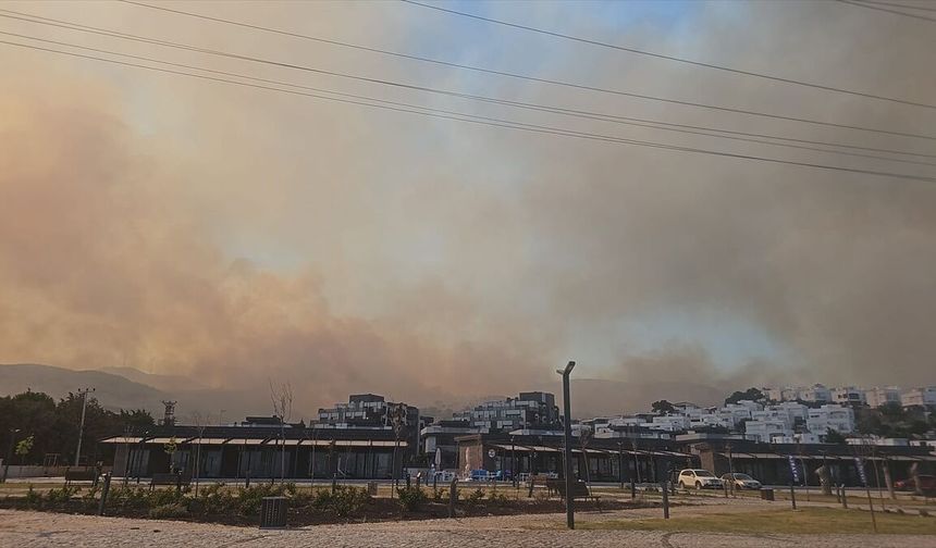 İzmir Dikili'de Ziraat Alanında Başlayan Yangın Makiliğe Sıçradı