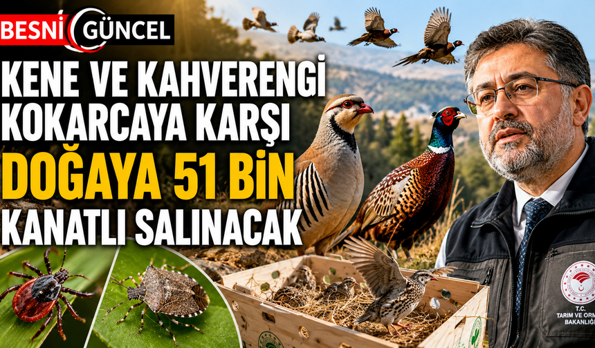 51 Bin Keklik ve Sülün, Zararlılarla Savaşmak İçin Doğaya Bırakılıyor