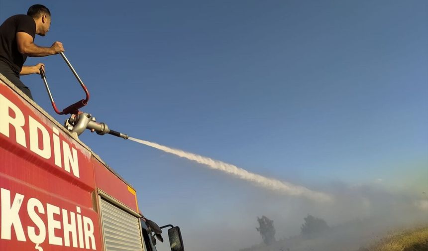 Mardin'de Yangın Bilançosu: Bir Haftada 236 Olay