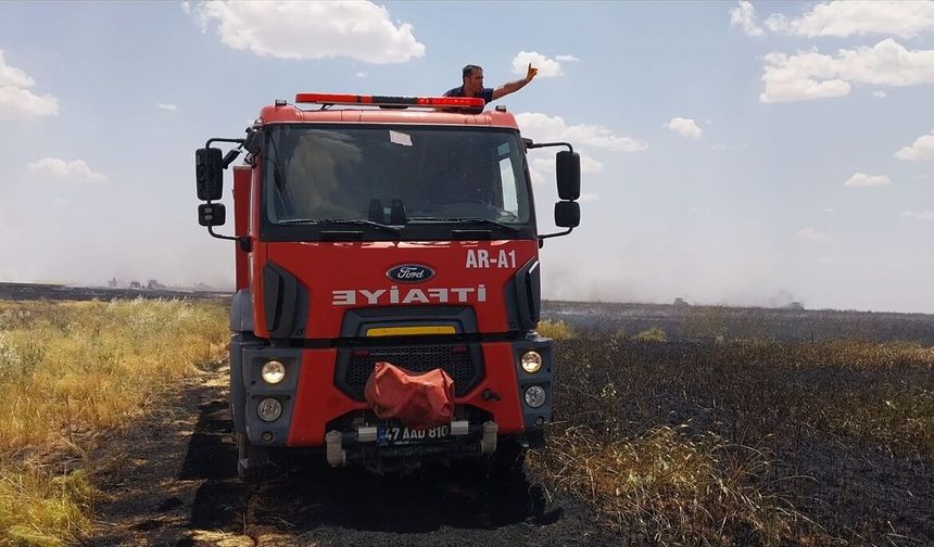 Mardin'de Çıkan Yangın 300 Dönüm Ekin Alanına Zarar Verdi