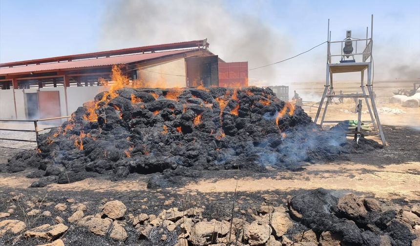 Mardin'de ot, anız ve ekin yangınları kontrol altına alındı