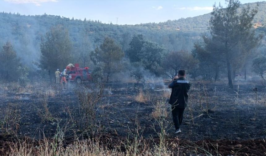 Mazıdağı'ndaki orman yangını ekiplerin çabasıyla söndürüldü.