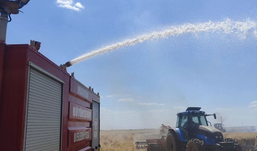 Mardin'de 80 dönümlük buğday ekili alan alevlere teslim oldu