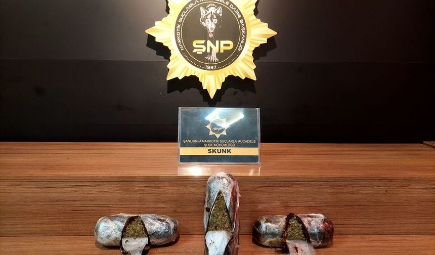 Şanlıurfa'daki narkotik operasyonunda bir kişi tutuklandı