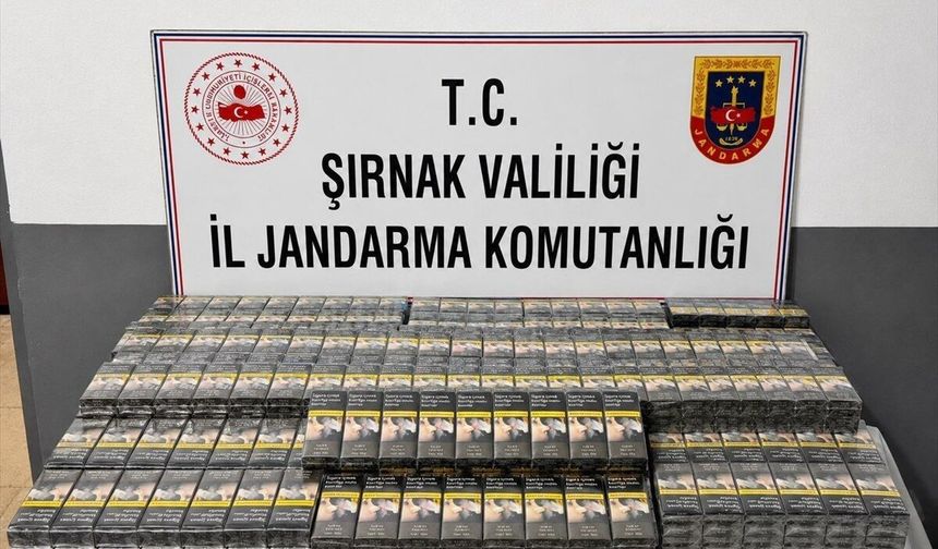 Şırnak'ta kapsamlı kaçakçılık operasyonu: 103 kişi hakkında işlem