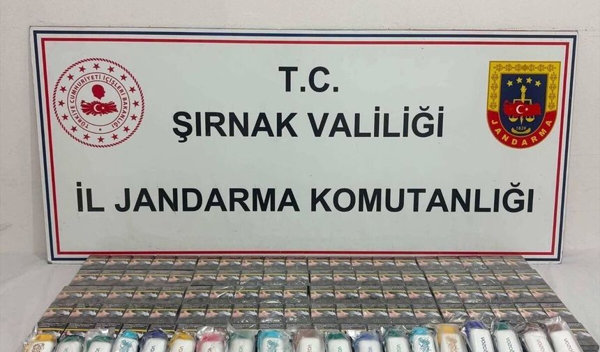 Şırnak'ta asayiş ve kaçakçılık operasyonlarında 94 zanlıya adli süreç