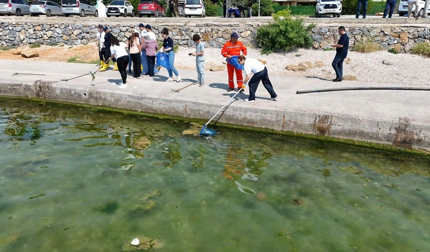 Tuzla'da Öğrenciler Kıyıları Temizleyerek Çevreye Destek Oldu