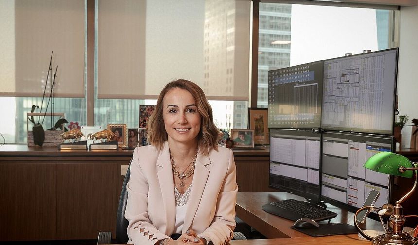 Yapı Kredi Teknoloji Fonu Yüksek