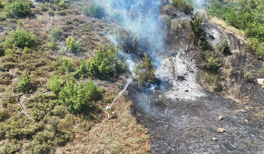 Feke'de Orman Yangını: Havadan ve Karadan Müdahale