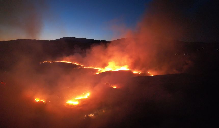 Adıyaman'da Orman Yangını Rüzgârla Büyüyor