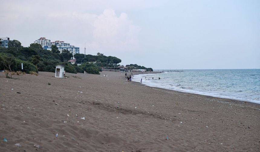 Anaç deniz kaplumbağaları Mersin sahillerinde yumurtlamaya başladı