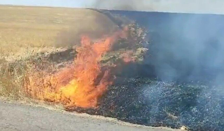 Dörtyol Bostancık Mevkiinde Anız Yangını