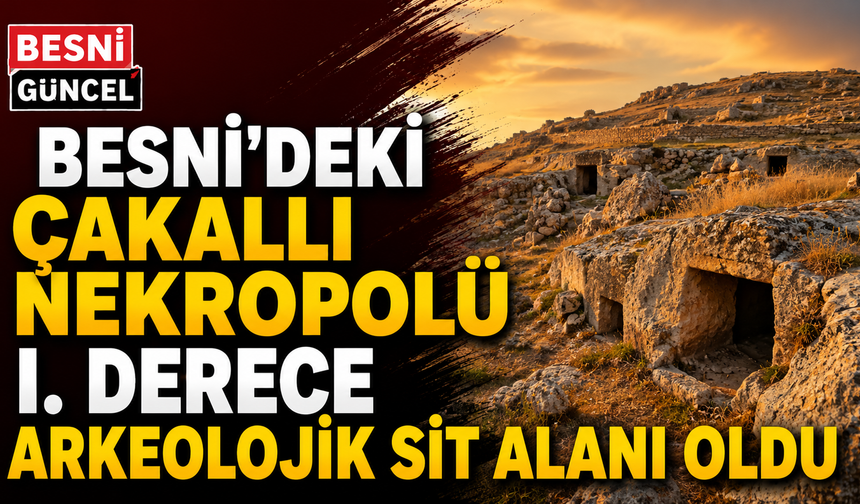 Besni Çakallı Köyü'ndeki Nekropol Koruma Altına Alındı