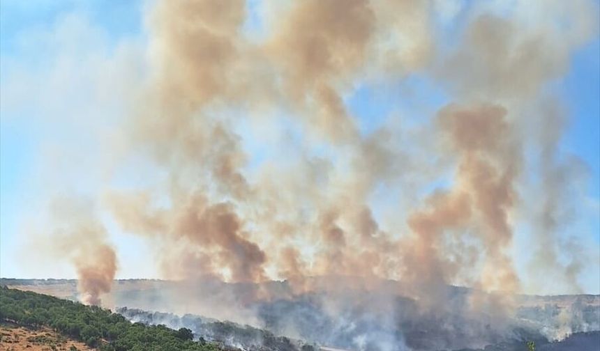 Diyarbakır'da biçerdöverden ormana sıçrayan yangın söndürüldü.