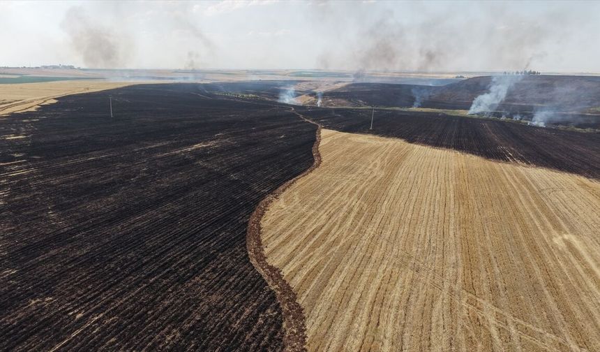Diyarbakır Çınar'da Anız Yangınına Ekipler Müdahale Ediyor
