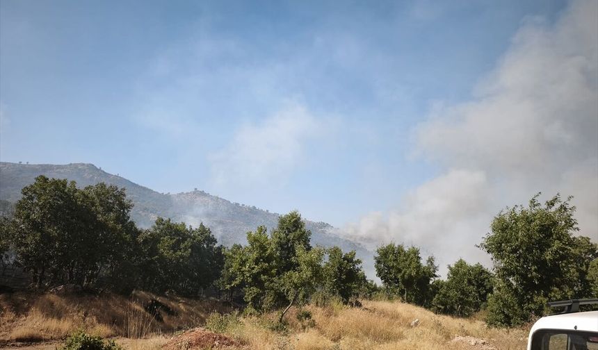 Diyarbakır'da çıkan orman yangınına müdahale ediliyor