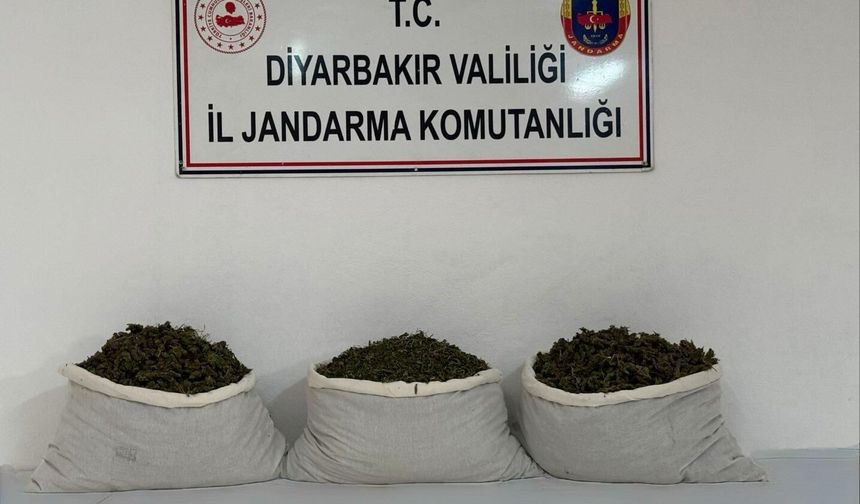 Diyarbakır'da yasa dışı madde operasyonları başarılıydı
