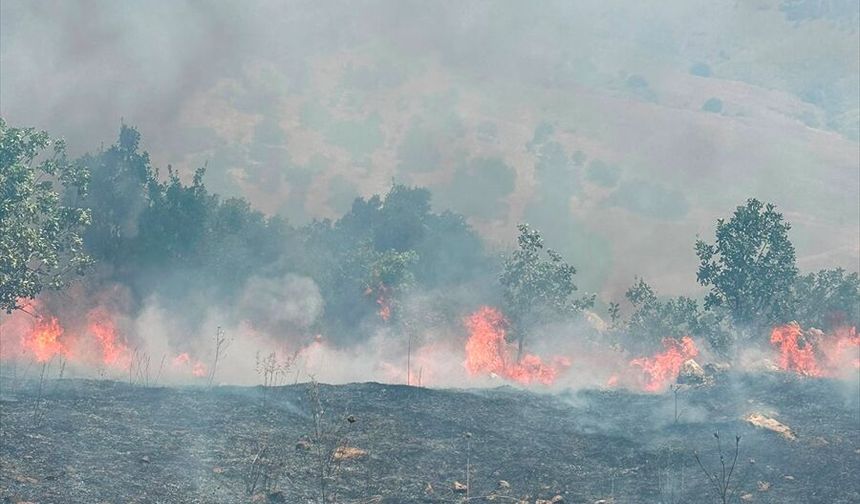 Hani'de Orman Yangını Ekiplerin Çabasıyla Söndürüldü