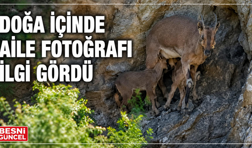 Erzincan'da Doğa İçindeki Aile Fotoğrafı Beğeni Topladı
