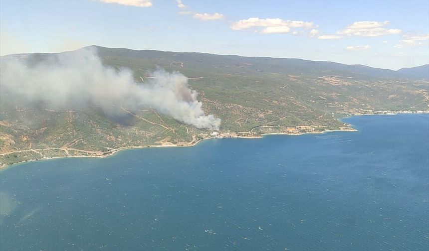 Armutlu'da orman yangınına müdahale