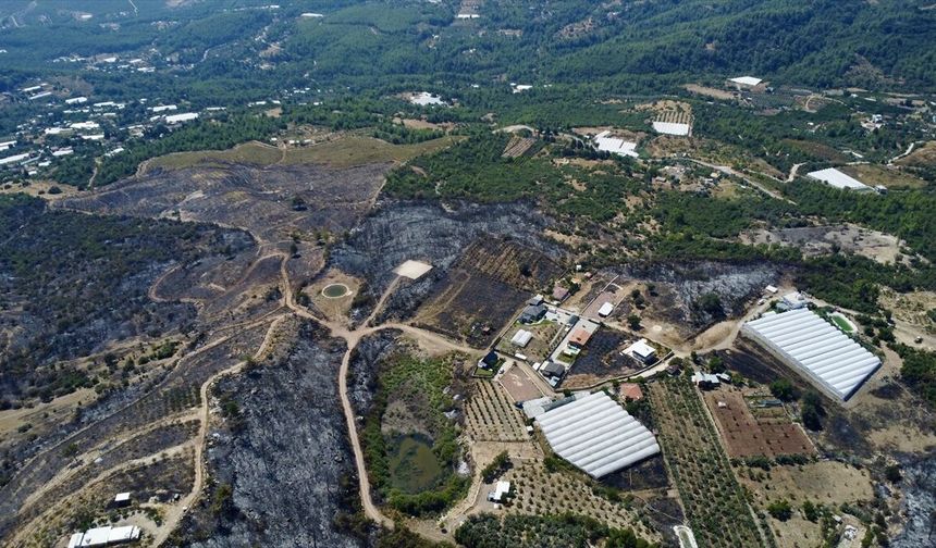 Kumluca'daki Orman Yangını Kontrol Altına Alındı