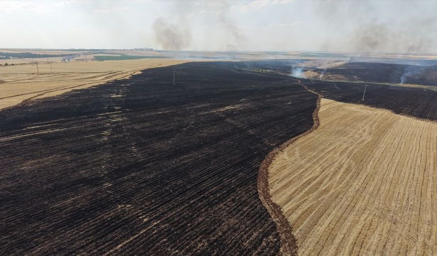 Diyarbakır Çınar'daki Anız Yangını Ekiplerin Müdahalesiyle Söndürüldü