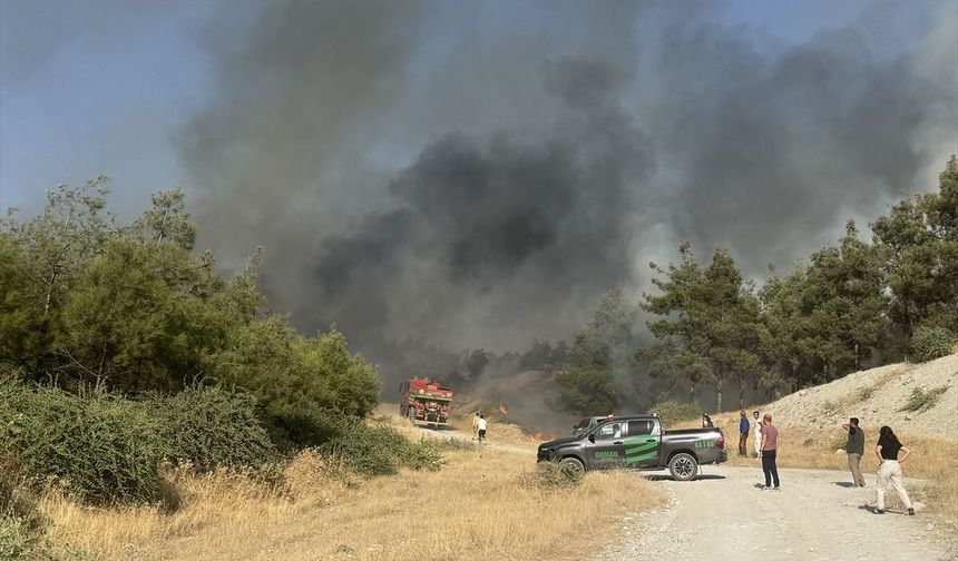 Şanlıurfa'da ormanlık alana sıçrayan yangın kontrol altına alındı.